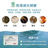【禮券】陽(yáng)澄聯(lián)合大閘蟹禮券9566型公6.0兩母4.5兩4對8只螃蟹券中秋禮盒禮品卡 曬單實(shí)拍圖