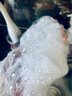韓方五谷洗發(fā)水男女士二硫化硒去屑止癢控油持久蓬松洗頭膏露液金榜第1名 曬單實(shí)拍圖