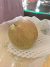 驕瑰山西隰縣玉露香梨 順豐JD-送貨上門小西天特產(chǎn)玉露香梨禮盒裝送禮 12枚特大果【單果380g-430g】10斤禮盒裝 順豐快遞 曬單實(shí)拍圖