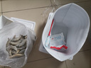 東上御品蝦 青島大蝦基圍蝦鮮活青蝦白蝦海蝦對蝦冰蝦凍蝦生鮮 蝦類(lèi) 海鮮 3斤(凈重)  氣凍大蝦【活蝦速凍】 17-21cm【特大蝦皇】 曬單實(shí)拍圖