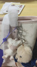 紐芝蘭（NUCELLE）【沈月同款】飛馬托特包2025單肩手提大容量上班通勤女包生日禮物 曬單實(shí)拍圖