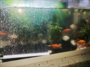 魚(yú)之眼魚(yú)缸氣泡條增氧氣泵散氣簾增氧機充氧泵瀑布式造景裝飾霧化氣泡石 白色細化氣條60cm 曬單實(shí)拍圖
