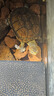 坤寧王魚(yú)缸火山石2.5kg底砂天然造景石顆粒濾材魚(yú)缸專(zhuān)用砂石 曬單實(shí)拍圖