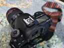 佳能 Canon 5d4 6d 5d3 5d2 5dsr 6d2 二手單反相機(jī) 全畫幅 5D Mark IV【5D4機(jī)身】 99新 曬單實(shí)拍圖