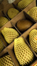 佳沛（zespri）新西蘭陽(yáng)光金果 8個(gè)裝 特大果單果122-146g 中秋水果禮盒 獼猴桃 曬單實(shí)拍圖
