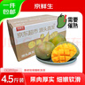 京鮮生 攀枝花凱特芒果 凈重4.5斤 單果700g 生鮮水果 源頭直發(fā) 曬單實拍圖