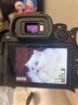 佳能（Canon）EOS R10微單相機 4K數碼高清旅游照相機 Vlog視頻拍攝直播相機 輕量小型 高速連拍 踏青 打鳥(niǎo) RF50mm F1.8 STM小痰盂鏡頭 套餐一【含128G卡 攝影包 電池 曬單實(shí)拍圖