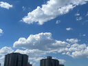鮮京采 鮮凍大號(hào)黑虎蝦 去冰凈重2斤 31-40只/盒 斑節(jié)對(duì)蝦 曬單實(shí)拍圖