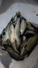 趣玲瓏鐵板路亞餌遠(yuǎn)投釣鱸魚翹嘴鱖魚專用假餌vib亮片海水淡水殺 7克鐳射黑背[1祇裝] 曬單實(shí)拍圖