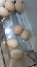 京喜加農(nóng)家新鮮散養(yǎng)雞蛋單枚40g正負(fù)5g谷飼蛋初生蛋溏心蛋早餐生鮮買菜 40枚 曬單實(shí)拍圖