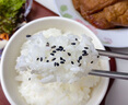 1號會員店 五常大米5kg*2 正宗五常 東北大米 當季新米 曬單實拍圖