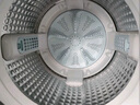 海爾（Haier）全自動波輪洗衣機12公斤大容量家用【XQB120-Z10D0】家電國家補貼20% 除菌螨一級能效換新租房宿舍 曬單實拍圖