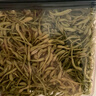 老谷頭金銀花凈口密封盒金銀花茶干花菊花茶枸杞?jīng)霾杌ú莶枞~干貨 曬單實(shí)拍圖