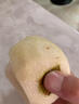 南步四川蒼溪大雪梨 廣元特產(chǎn)黃金梨稱(chēng)坨梨施家梨黃皮梨麻皮新鮮水果 8斤 精選小果【9枚裝】 曬單實(shí)拍圖