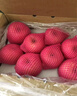 京鮮生 山東棲霞紅富士蘋果精品12粒 單果190g-240g  生鮮水果 禮盒 曬單實(shí)拍圖