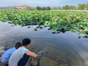 樂愛家簡(jiǎn)易衣柜加粗鋼管布衣柜家用宿舍雙人臥室衣柜出租房收納單人衣櫥 曬單實(shí)拍圖