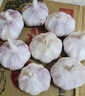 寶菜大蒜紫皮蒜頭25年山東金鄉地標產(chǎn)品帶皮干蒜產(chǎn)地源頭直發(fā)包郵 精品大果-凈重1.8斤裝 單果5.5cm 曬單實(shí)拍圖