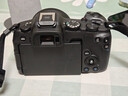 佳能（Canon）EOS R8 全畫(huà)幅微單數碼相機 單機身（約2420萬(wàn)像素/小型輕量） 曬單實(shí)拍圖