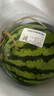 【產(chǎn)地直采】麒麟奶油西瓜 約4.5kg 曬單實拍圖