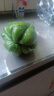 云南佛手瓜新鮮現摘佛手瓜農家佛手瓜有刺洋瓜蔬菜洋絲瓜福壽瓜 新鮮佛手瓜 5斤 帶箱 曬單實(shí)拍圖
