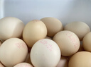 好念頭可生食鮮雞蛋 無(wú)抗生素無(wú)腥味土雞蛋營(yíng)養高蛋白新鮮雞蛋禮盒裝 營(yíng)養蛋50枚【自然慢產(chǎn)】 曬單實(shí)拍圖