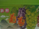 京鮮生國產(chǎn)陽(yáng)光玫瑰凈重4.5斤單果13g 葡萄/提子生鮮水果源頭直發(fā)包郵 曬單實(shí)拍圖