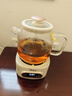 美的全玻璃養生壺 辦公室燒水壺 家用多功能煮茶壺 花茶煮茶器 迷你小型電熱水壺 圍爐煮茶壺 【全玻璃】0金屬0膠水0涂層 1L 曬單實(shí)拍圖
