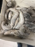 賣魚郎先生青島鹽凍大蝦凈重3.6斤 20-25只/斤 白蝦基圍蝦生鮮 蝦類 曬單實(shí)拍圖