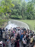 京鮮生 無籽麒麟大西瓜 1粒裝 7-9斤 生鮮水果 曬單實拍圖