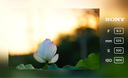 索尼（SONY）E 70-350mm F4.5-6.3 G OSS APS-C畫(huà)幅超遠(yuǎn)攝變焦G鏡頭 SEL70350G 曬單實(shí)拍圖