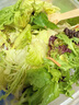 一號(hào)農(nóng)場(chǎng)活力蔬菜沙拉碗6種蔬菜開盒即食輕食健身代餐160g*3碗源頭直發(fā) 曬單實(shí)拍圖