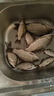 川澤伊豆綁好子線雙鉤成品魚鉤套裝金海夕仕掛鯽鯉魚翹嘴小魚鉤鳊魚鉤 伊豆45cm【鉤2線0.8+鉤3線1.0】 各10付【共20付盒裝】 曬單實拍圖