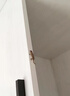 戶凈驅(qū)壁虎專用藥蟑螂驅(qū)趕神器家用室內(nèi)外墻壁氣味長(zhǎng)效持久滅殺藥噴劑 驅(qū)壁虎專用【1瓶裝】 曬單實(shí)拍圖