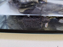 土鯪魚白鰱魚苗活體飼料活魚喂鱖魚喂金龍喂烏龜喂桂花鱸魚活餌魚 飼料魚隨機(jī)1-2厘米100條送10% 曬單實(shí)拍圖
