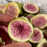 同仁堂（TRT）無(wú)花果干無(wú)花果茶即食新疆大無(wú)花果片泡水無(wú)添加煲湯肉厚蜜甜100g 曬單實(shí)拍圖