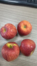 果味集云南昭通冰糖心丑蘋(píng)果當季的新鮮紅富士紅露蘋(píng)果整箱5斤水果包郵 5斤中果【果徑70-75mm】 曬單實(shí)拍圖