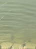 飛利浦（PHILIPS）電動剃須刀經(jīng)典3系 干濕雙剃刮胡刀 配彈出式鬢角修剪器 送男友送老公 父親生日禮物 曬單實拍圖
