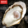 鮮京采 鮮活生蠔5XL 凈重5斤 9-12只 生鮮海鮮 七夕聚餐 源頭直發(fā) 曬單實(shí)拍圖