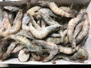 GUO LIAN國聯(lián) 生鮮鹽凍大蝦 無(wú)冰凈重3斤 鹽凍特大號45-60只 海產(chǎn)冷凍蝦 曬單實(shí)拍圖