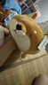 名創(chuàng)優(yōu)品（MINISO）柴犬系列毛絨公仔趴姿玩具娃娃抱枕睡覺室內(nèi)臥室辦公室生日禮物 曬單實拍圖