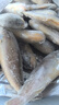 5斤小黃花魚(yú)海魚(yú)去頭小黃魚(yú)新鮮鮮活冷凍整箱香酥魚(yú) 10條/斤s5斤裝 曬單實(shí)拍圖
