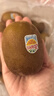 佳沛（zespri）新西蘭  陽(yáng)光金奇異果巨大果22粒原箱 單果重約144-175g 獼猴桃 曬單實(shí)拍圖