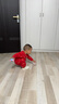 babylove嬰兒連體衣純棉秋裝紅色喜慶衣服滿月寶寶哈衣爬服送禮衣服 曬單實(shí)拍圖