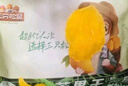 三只松鼠芒果干500g/袋 休閑零食水果干蜜餞果脯娛樂辦公室小吃量販裝 曬單實(shí)拍圖