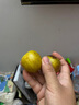 京鮮生  陜西大荔冬棗 凈重2斤單果12g+  源頭直發(fā)【搜生鮮館】 曬單實拍圖