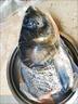 亞又婧 千島湖大魚(yú)頭新鮮大魚(yú)頭胖頭魚(yú)鳙魚(yú)花鰱大頭魚(yú)包頭魚(yú)鮮活 千島湖魚(yú)頭6斤 曬單實(shí)拍圖