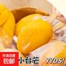 冰鮮小臺芒新鮮現摘去皮小臺芒一整支冷凍冰淇淋雪糕孕婦兒童零食 10支*55g【冰鮮小臺芒】 曬單實(shí)拍圖