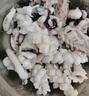 美加佳 鮮凍整只大魷魚(yú)（2-3只） 凈重550g 整條魷魚(yú) 深海捕撈 海鮮水產(chǎn) 曬單實(shí)拍圖