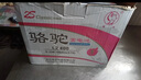 駱駝（CAMEL）蓄電池汽車(chē)電瓶6-QW-45 12V45AH 上門(mén)安裝-以舊換新 適用于 五菱之光S五菱榮光V五菱宏光S/日產(chǎn)軒逸陽(yáng)光驪威 曬單實(shí)拍圖