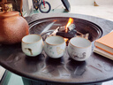 FIREPLUS圍爐煮茶家用燒烤爐室內圍爐烤火盆碳火爐桌戶(hù)外套餐取暖爐烤火爐 庭院燒烤桌+10斤炭+經(jīng)典套餐-莫莉 曬單實(shí)拍圖